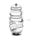 Coque, corps supérieur