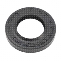 Bague à lèvre avec ressort