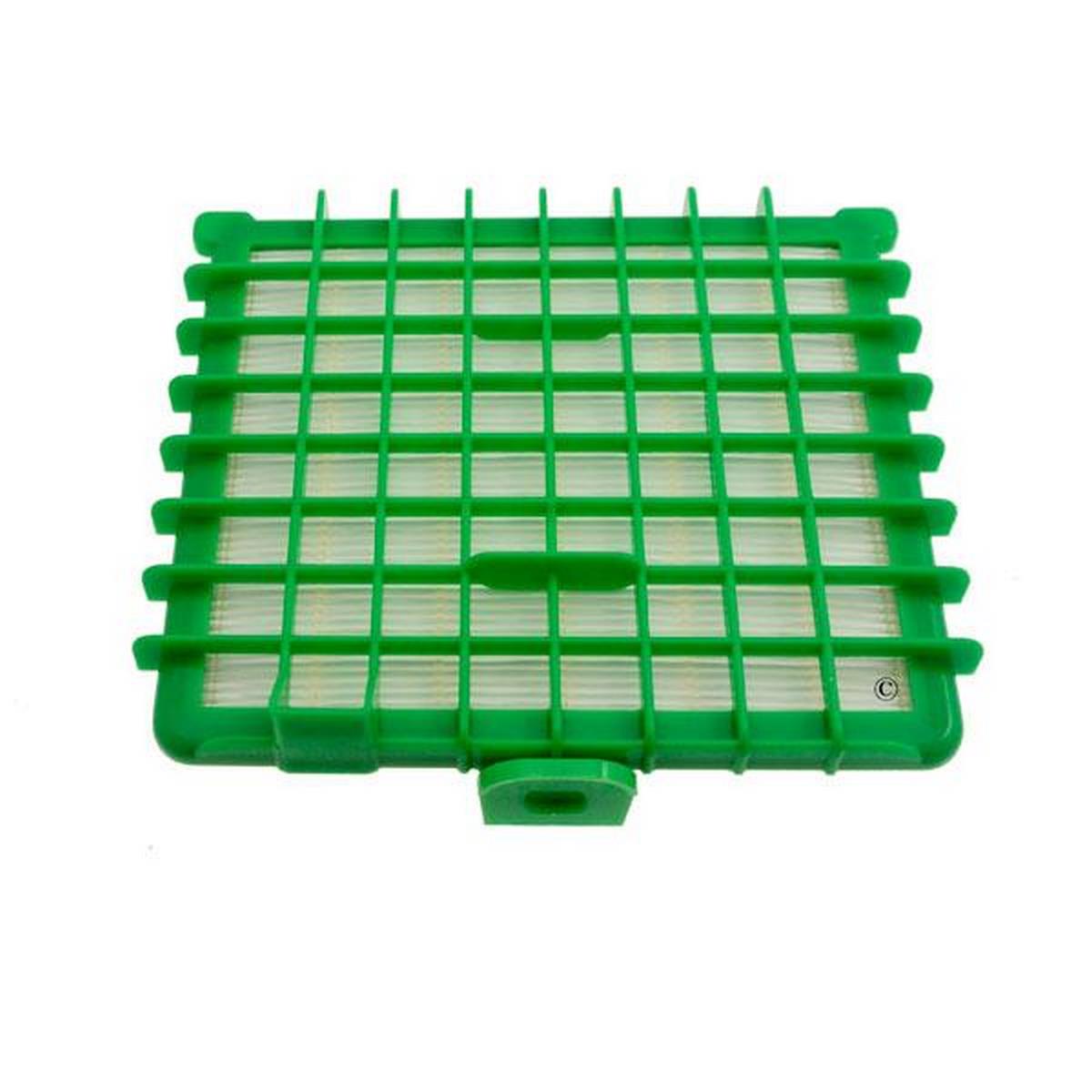 Filtro Hepa Aspirapolvere Rowenta Silence Force