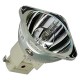 Lampe