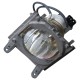 Ampoule (sans chassis)