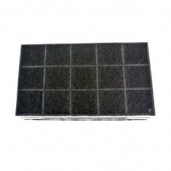 Lot de 2 filtres charbon  135X235 mm