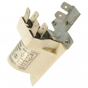 Antiparasite d'origine