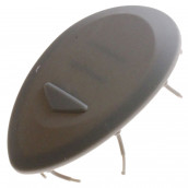 Levier bouton distributeur Levier bouton distributeur