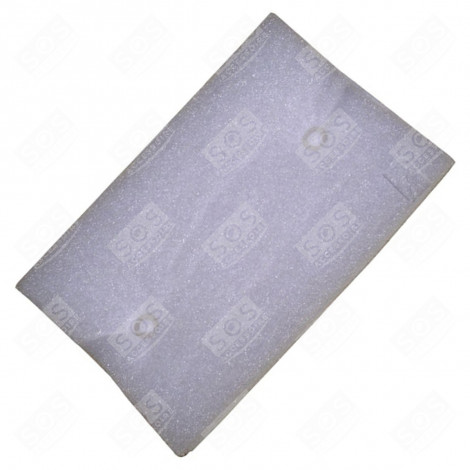 FILTRE MOTEUR D'ORIGINE ASPIRATEUR - 1096802002