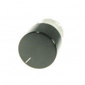 Bouton Bouton