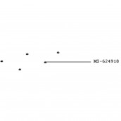 Pied NESPRESSO VERTUO NEXT