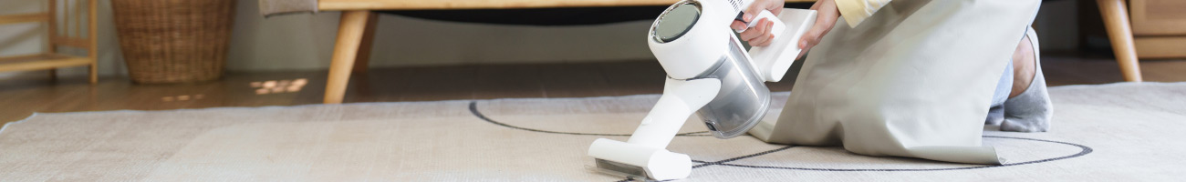 Aspirateur traîneau