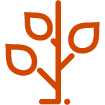 Ecologique